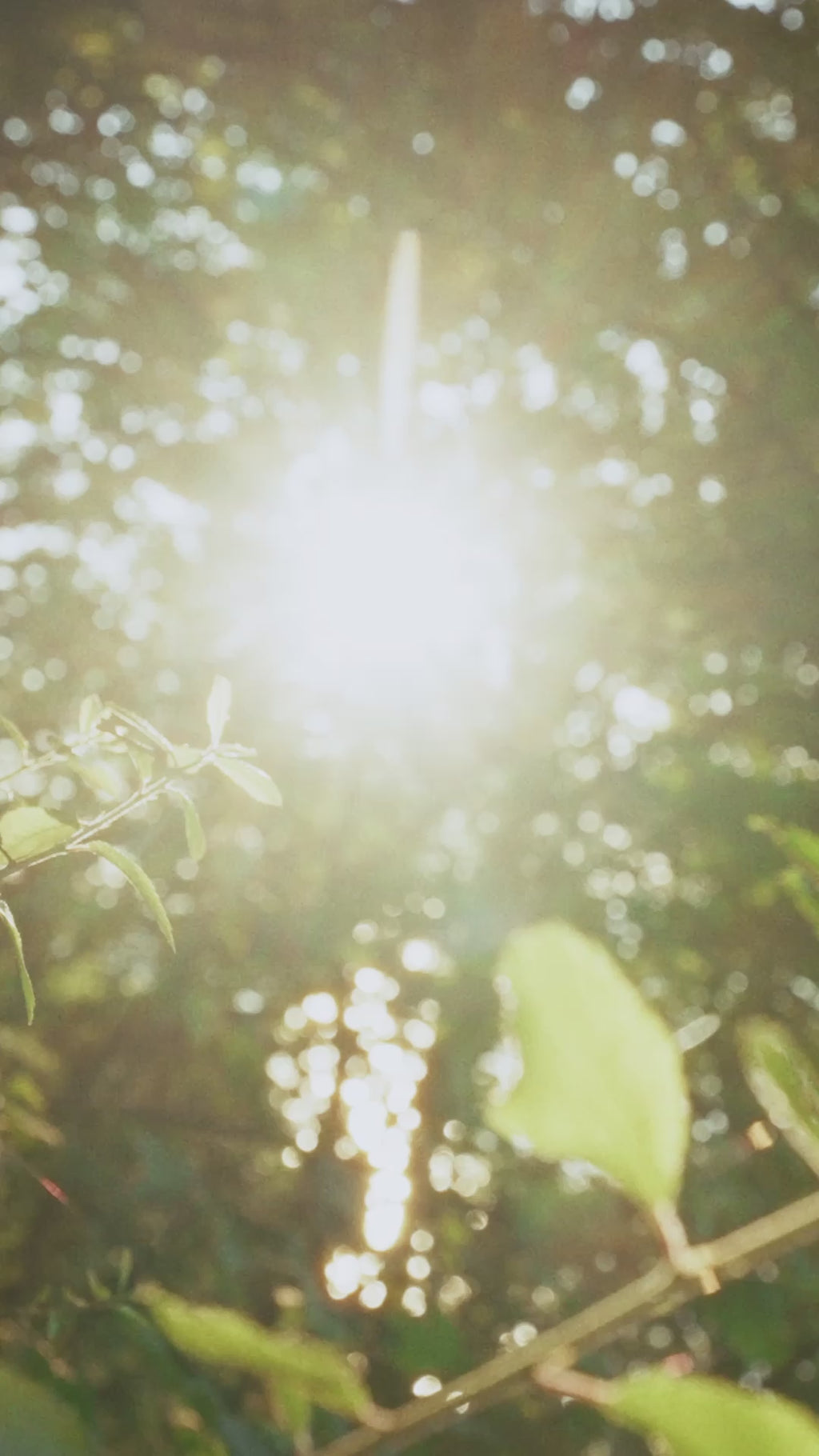 Roxanne Bomber Jacket